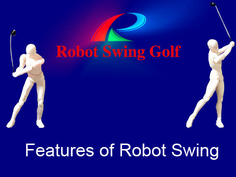 Features of robot swing